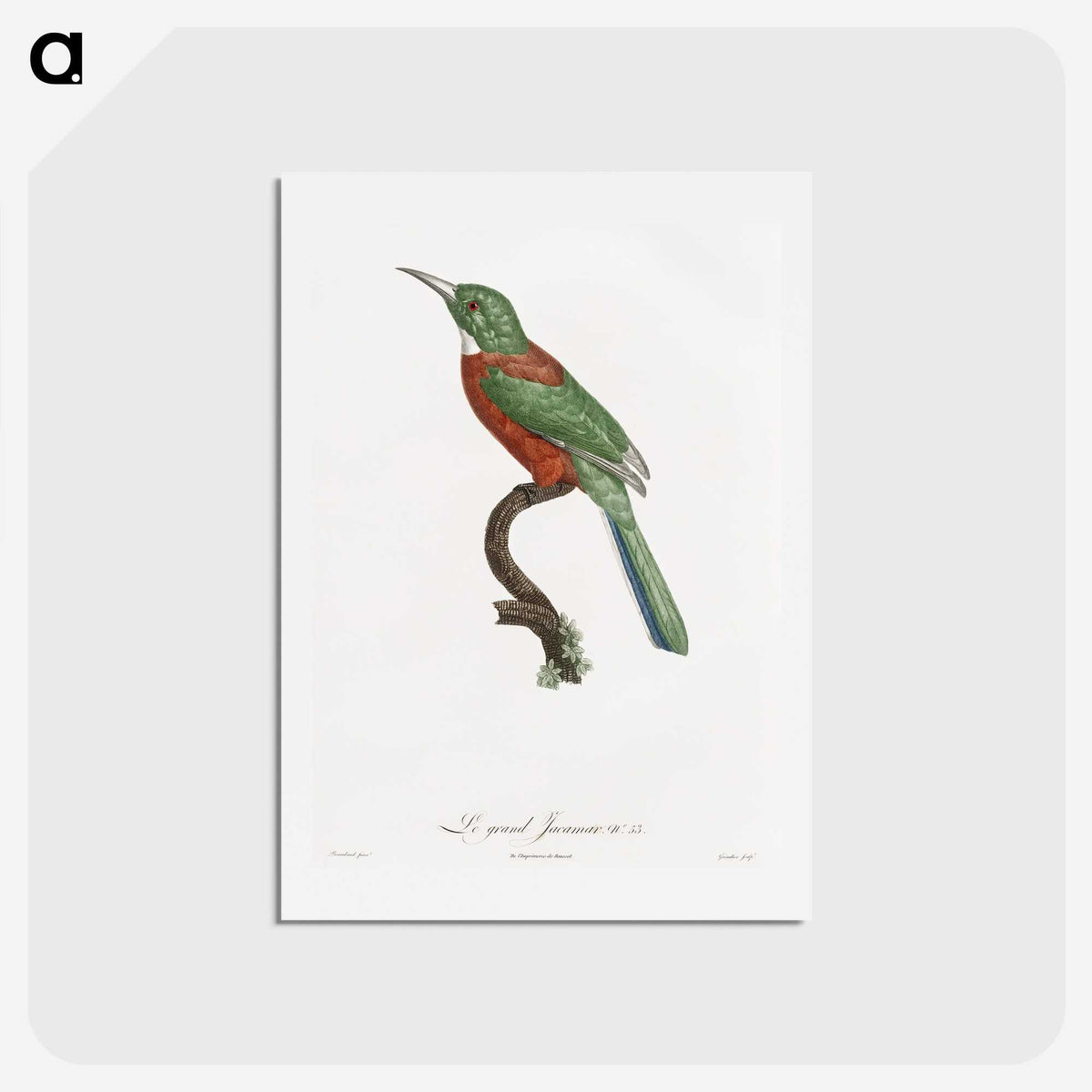 1-29_Des-Oiseaux-de-Paradis_hagaki