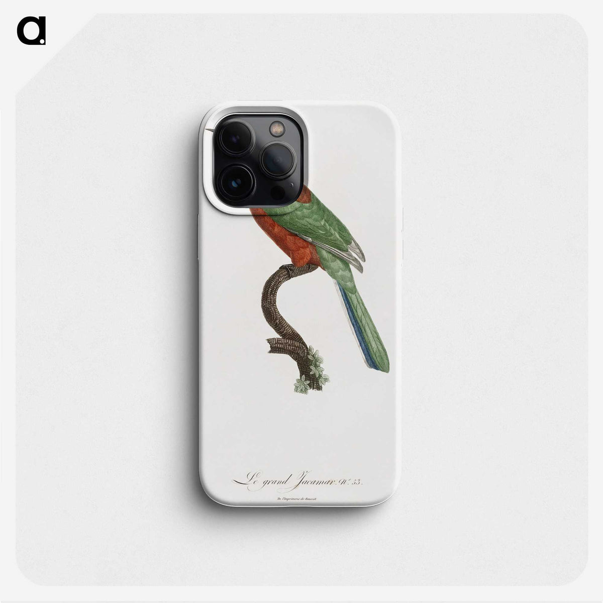 1-29_Des-Oiseaux-de-Paradis_phone