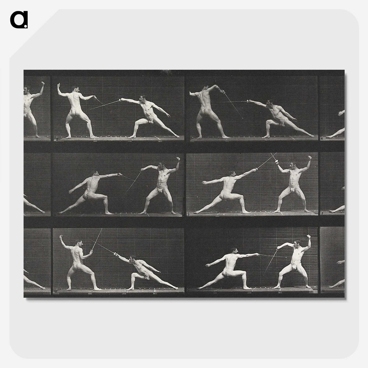 1-29_Eadweard-Muybridge_picture-crop