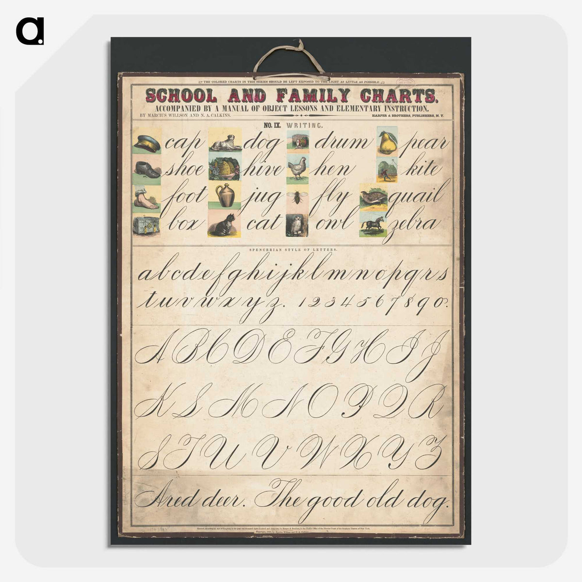 1-29_Education-Charts_picture-crop