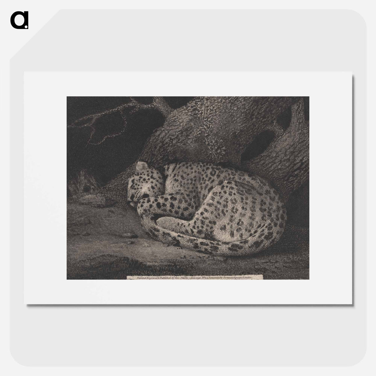 アートポスター-A Sleeping Leopard
- ジョージ スタッブス Poster.
