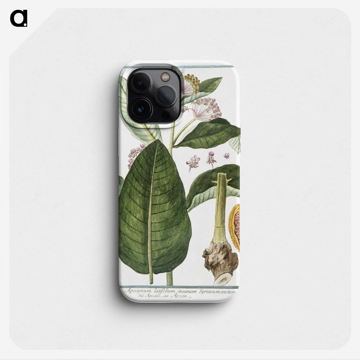 1-29_Hortus-Romanus-Botanical-Plates_phone