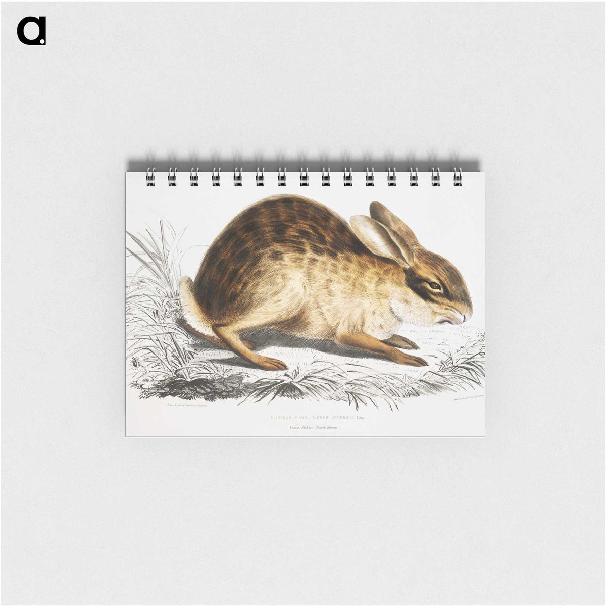 1-29_Indian-Zoology_memo