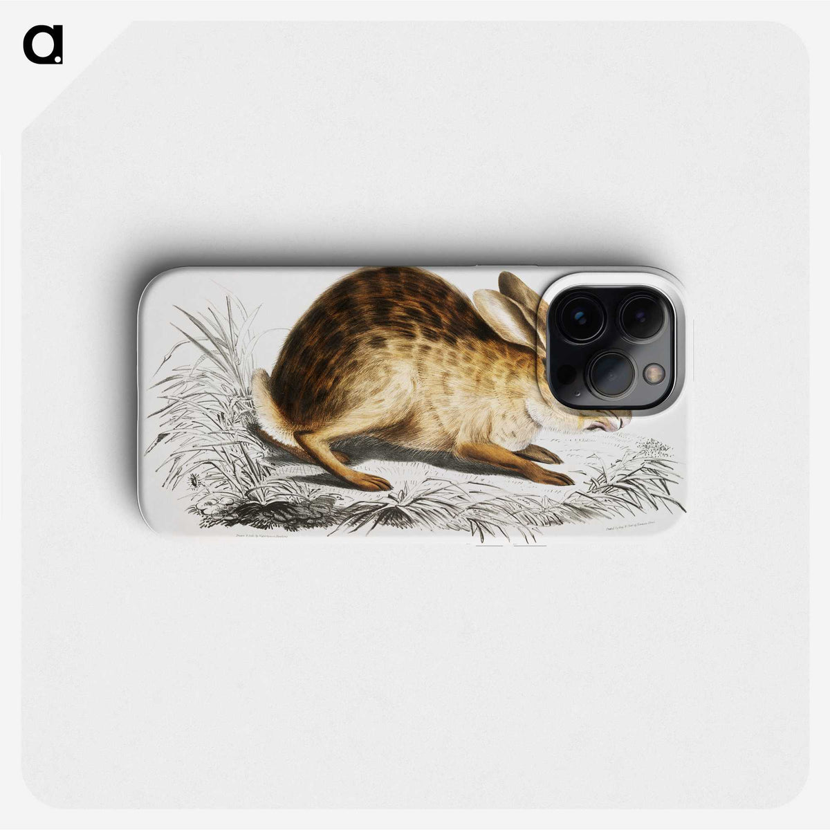1-29_Indian-Zoology_phone