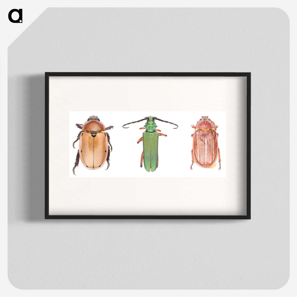 1-29_Insects-Unlocked-Project_blk