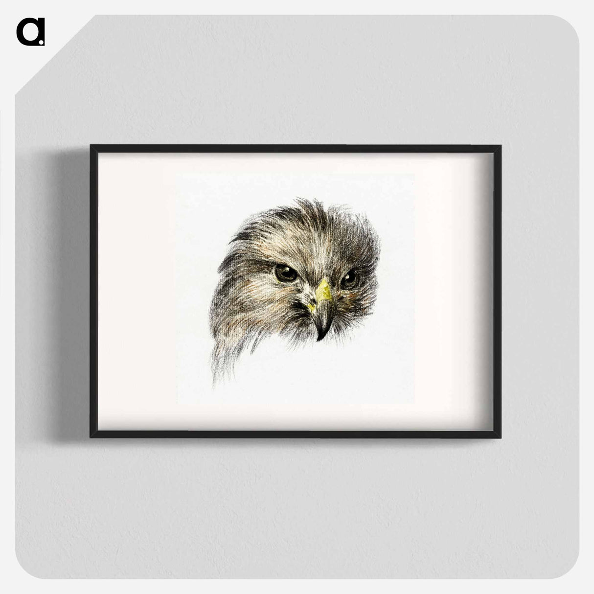 Head of a bird of prey - ジャン ベルナール Poster.