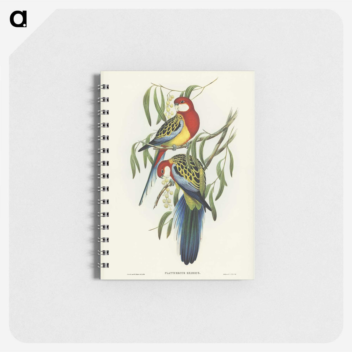 1-29_John-Gould_memo