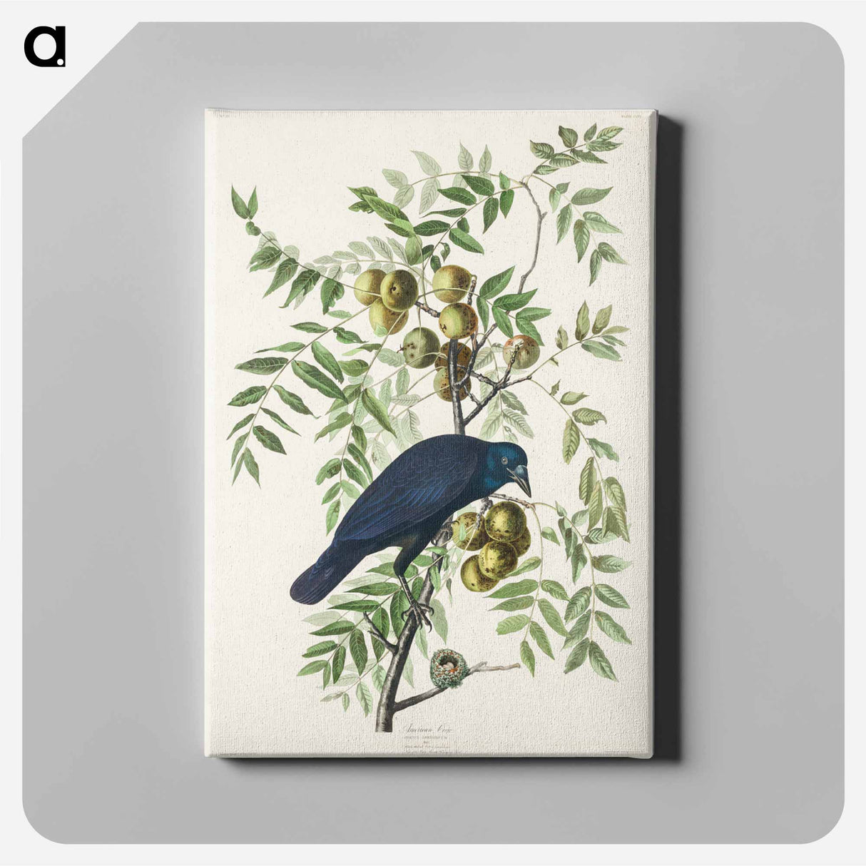 アートパネル-American Crow
- ジョン ジェームス オーデュボン Canvas.