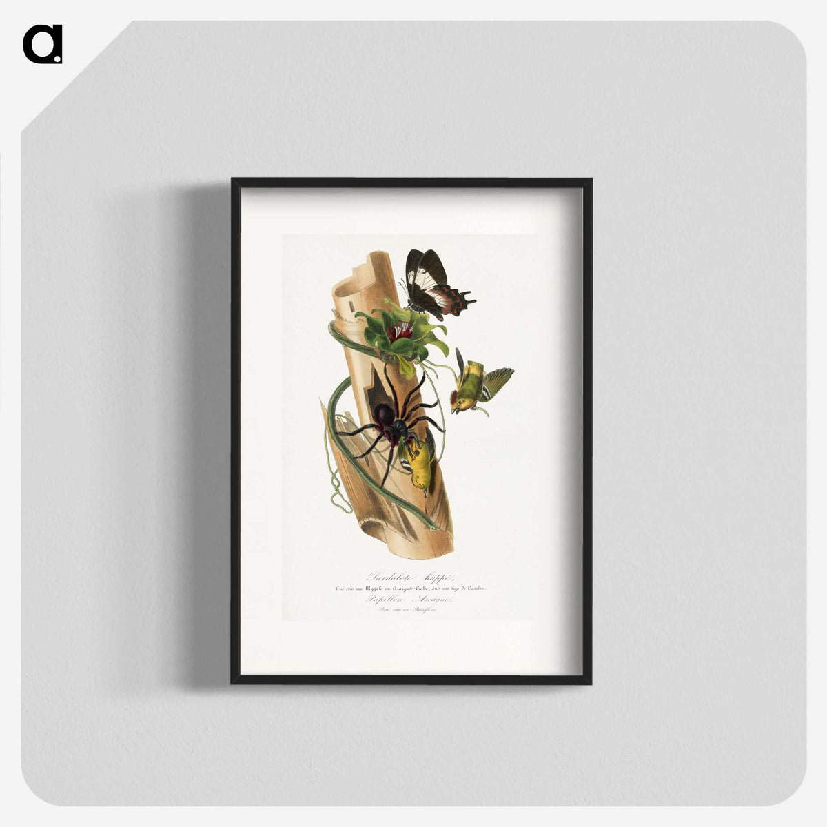 1-29_Le-Jardin-des-Plantes_blk
