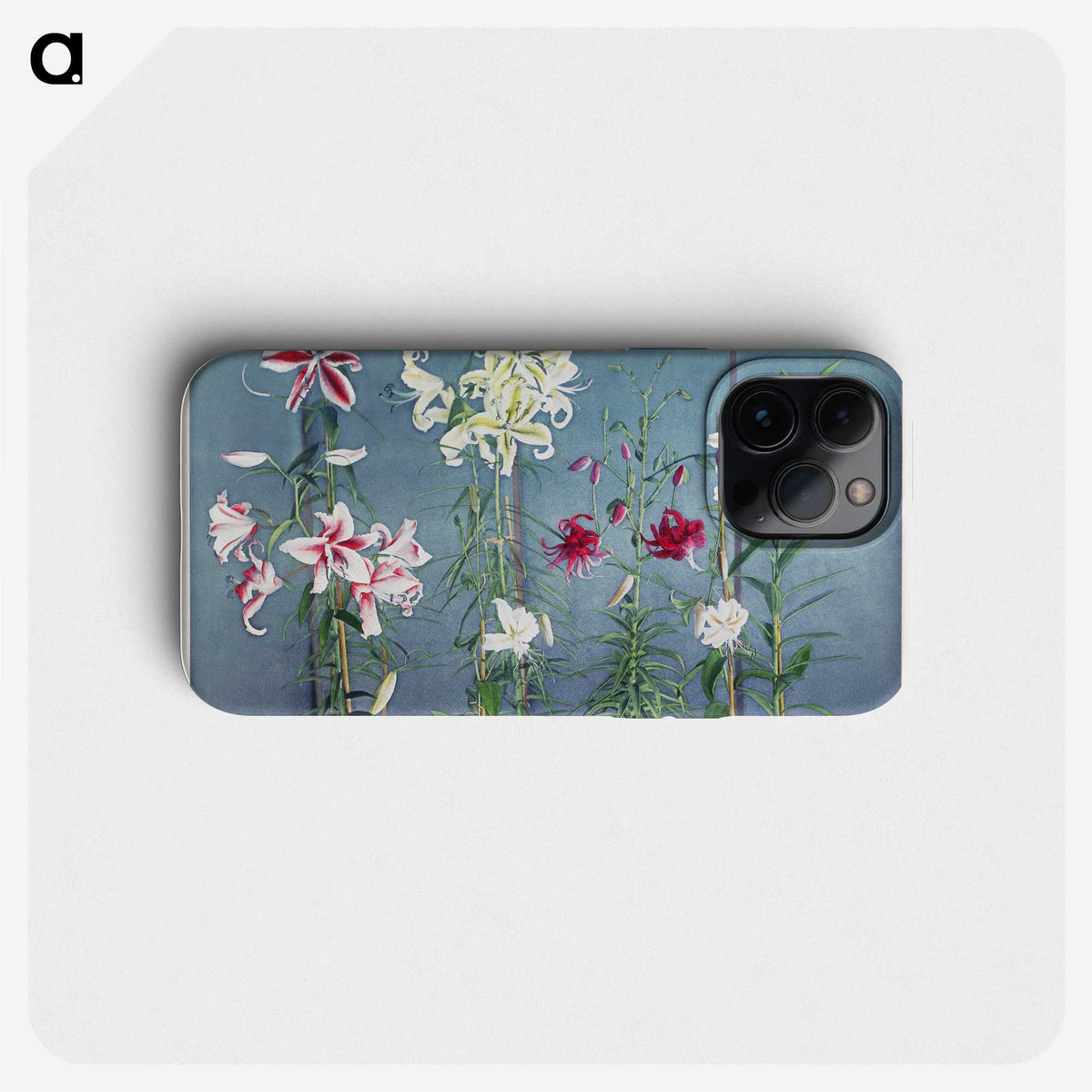 1-29_Ogawa-Kazumasa_phone