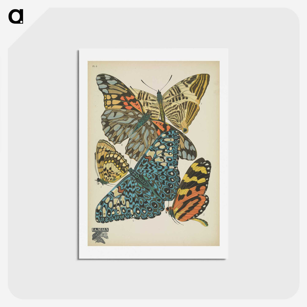 1-29_Papillons_hagaki