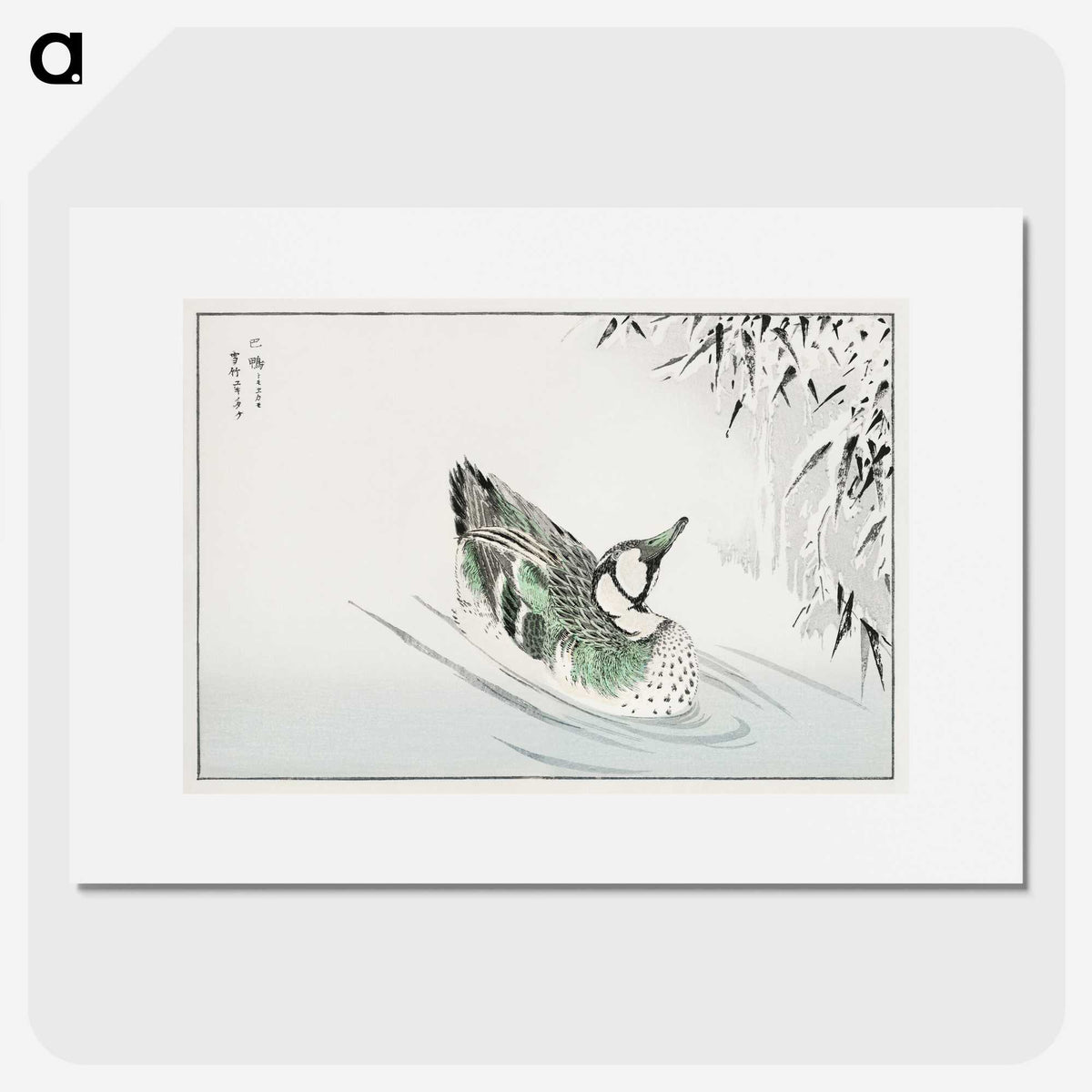 1-29_Pictorial-Monograph-of-Birds_picture