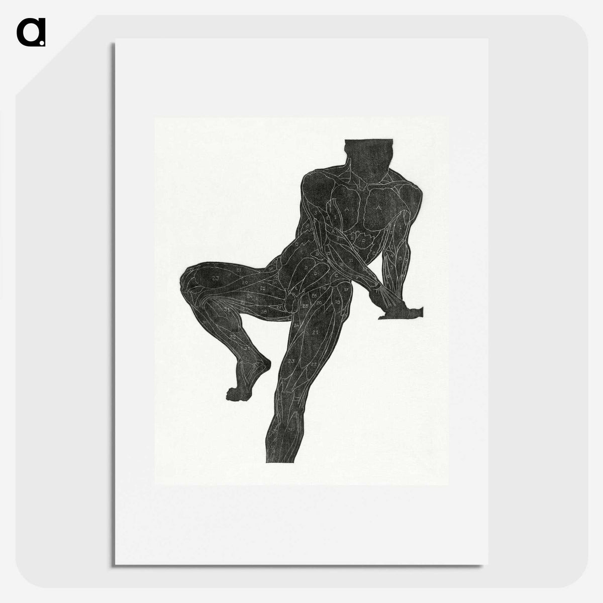 1-29_Reijer-Stolk_picture