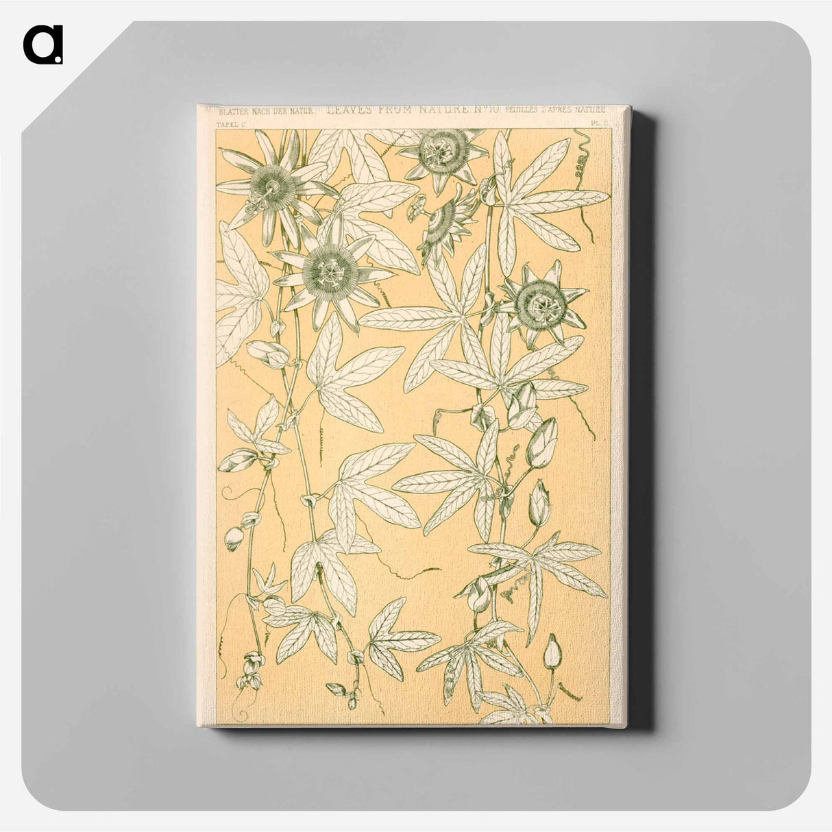 アートパネル-Nineteenth-Century Ornament
- 装飾の文法 Canvas.