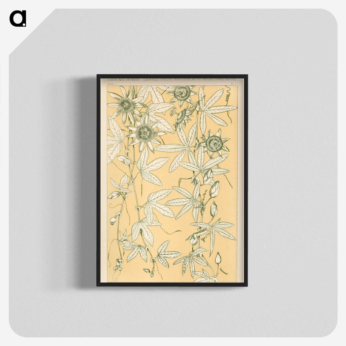 1-29_The-Grammar-of-Ornament_blk-crop