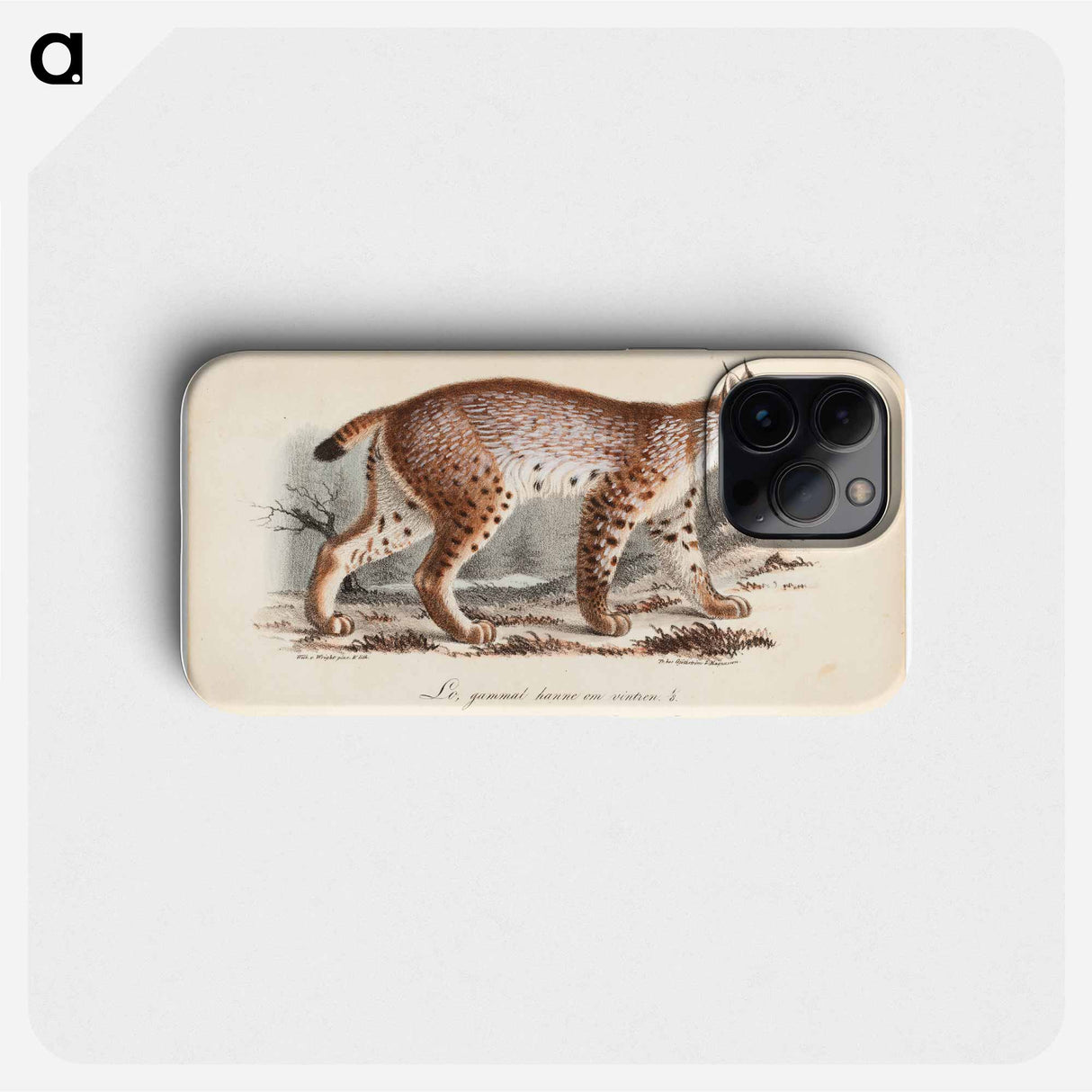 Ilves, vanha uros talviasussa - Wilhelm von Wright Phone Case.