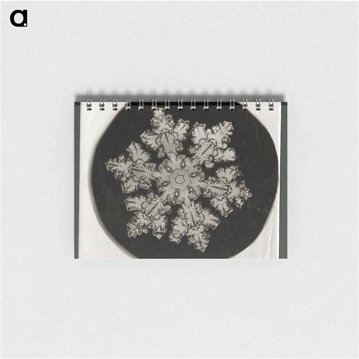 アートメモ帳-Wilson Bentley Photomicrograph of Stellar Snowflake No. 1099 - ウィルソン ベントレー Memo.