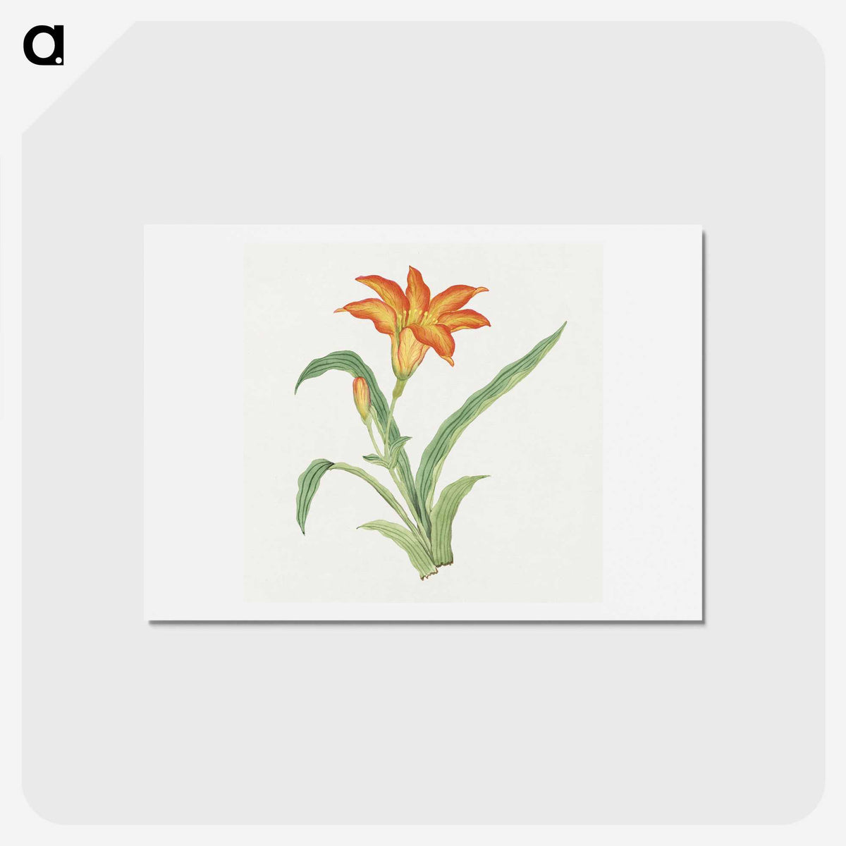 1-2_19th-Century-Japanese-Flowers_hagaki