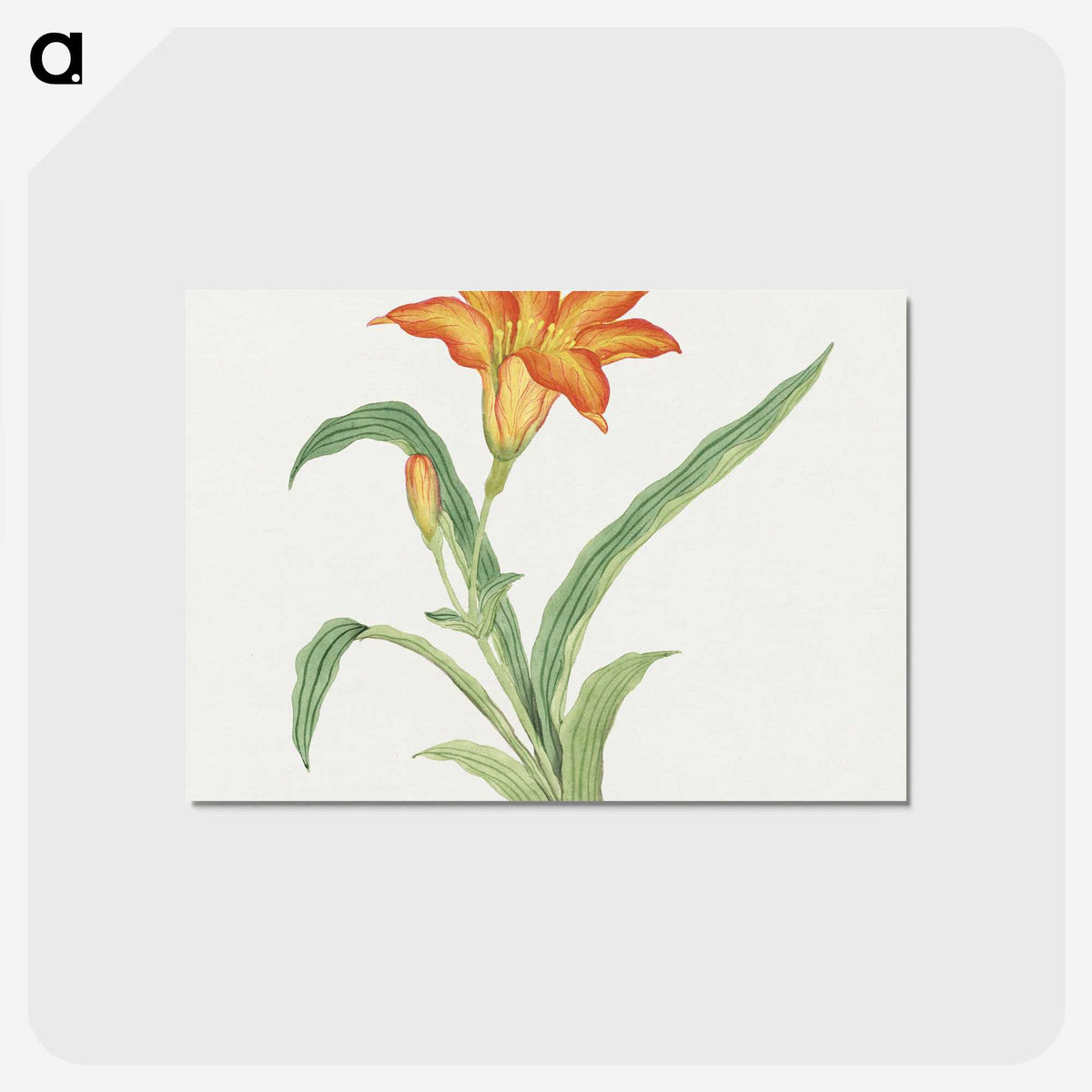 1-2_19th-Century-Japanese-Flowers_postcard