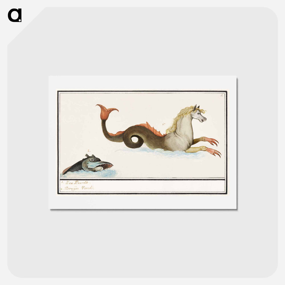アートポストカード-Hippocampus and fish - アンセルムス ボエティウス デ ブート Postcard.