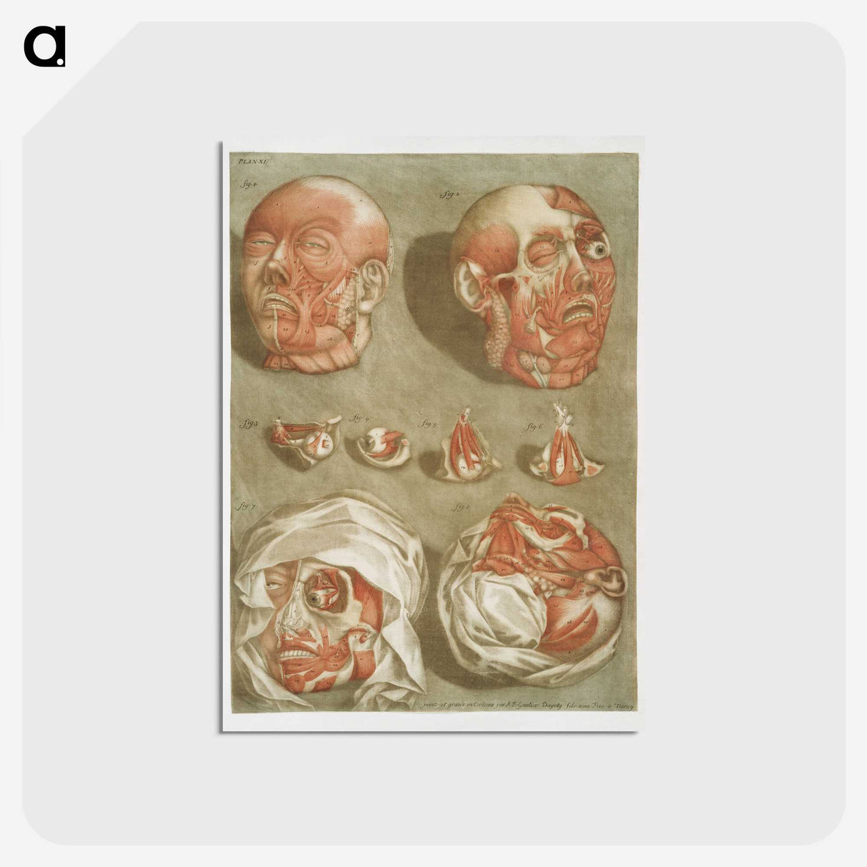 1-2_Arnauld-Eloi-Gautier-Dagoty_postcard