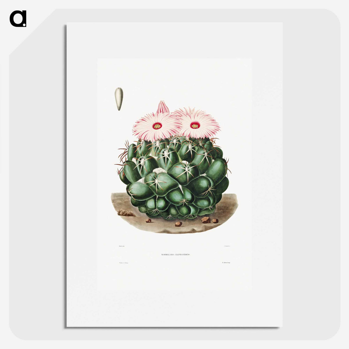 1-2_Charles-Antoine-Lemaire_picture