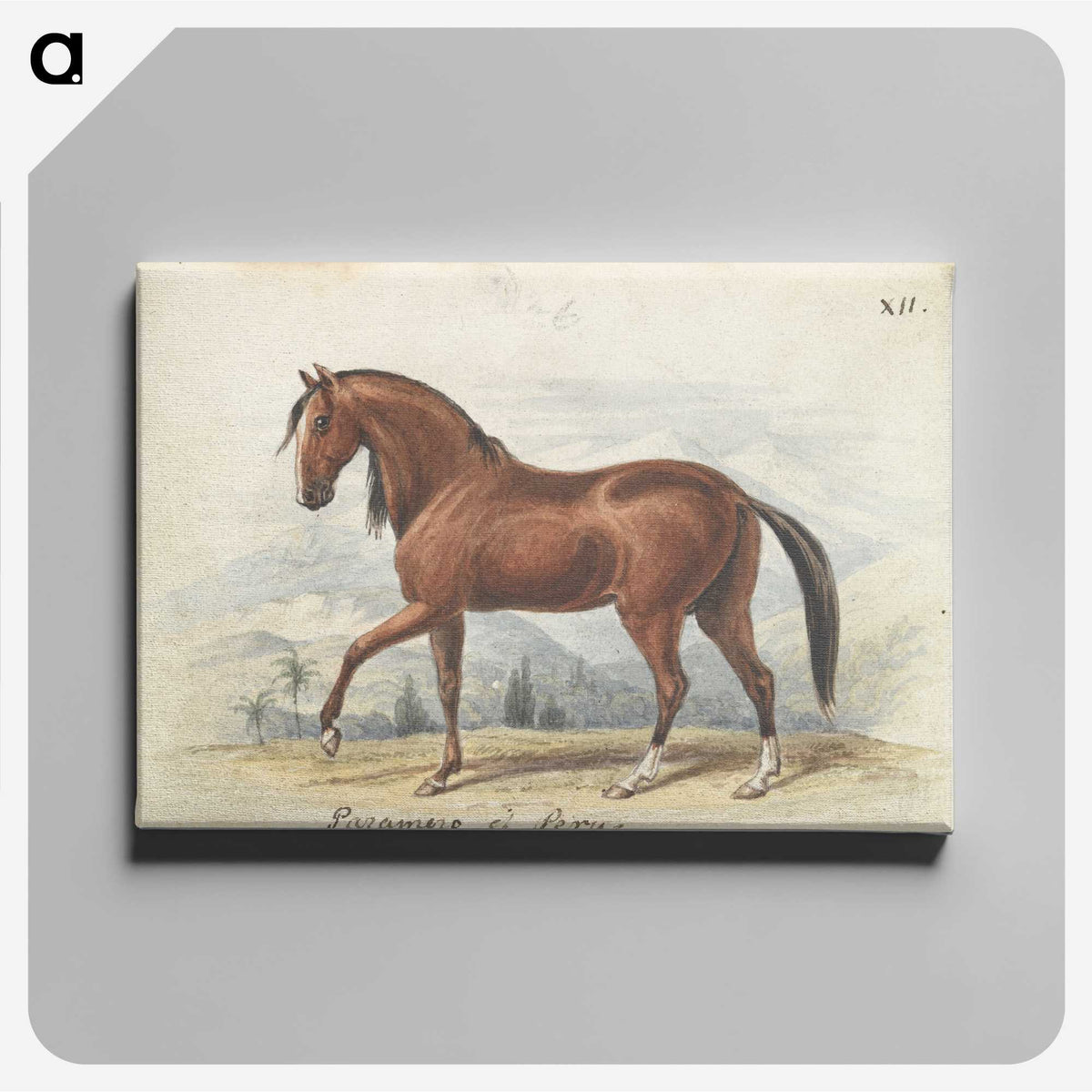 1-2_Charles-Hamilton-Smith_canvas
