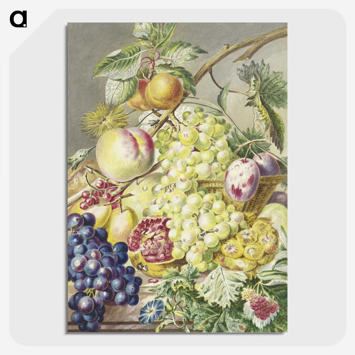 1-2_Cornelis-Ploos-van-Amstel_picture-crop