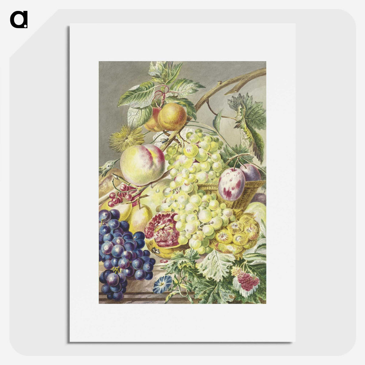 1-2_Cornelis-Ploos-van-Amstel_picture