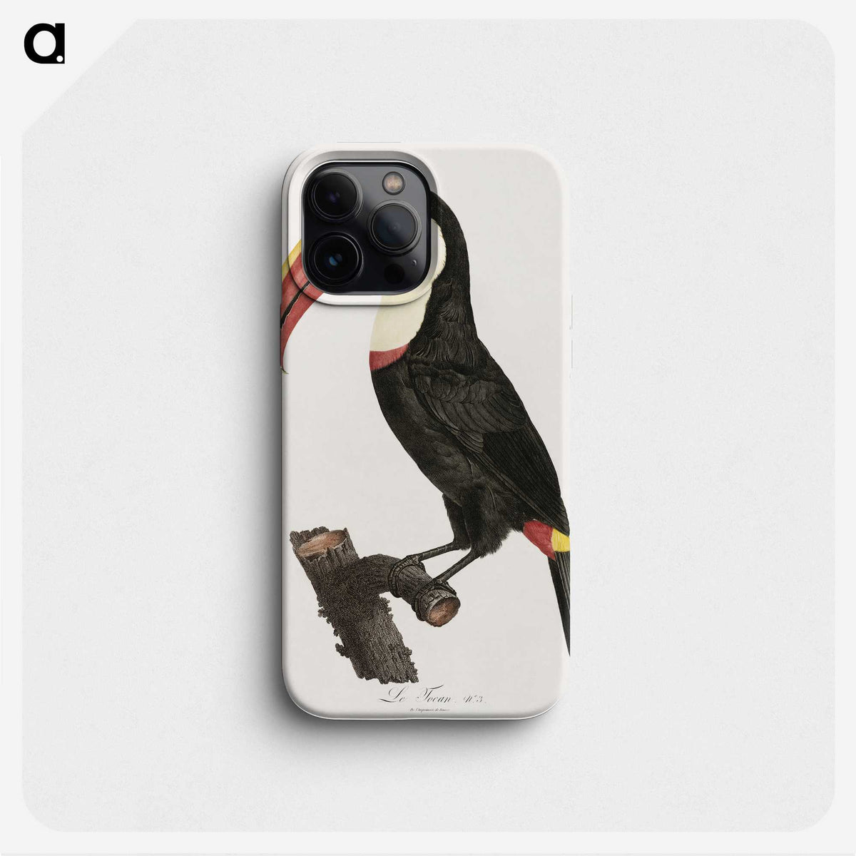 1-2_Des-Oiseaux-de-Paradis_phone