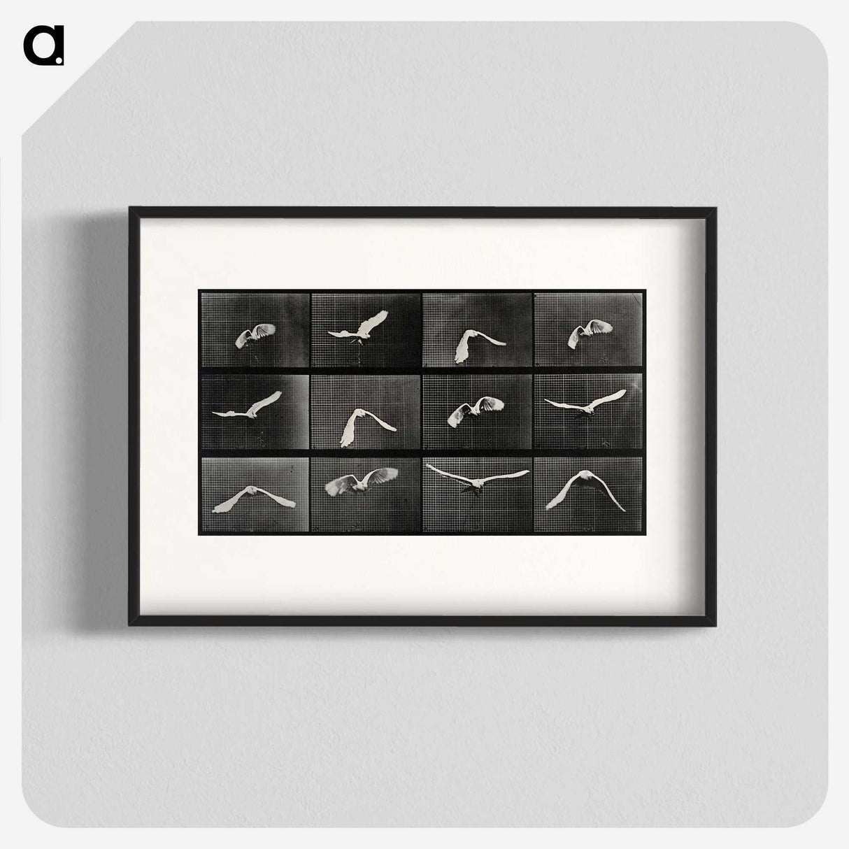 1-2_Eadweard-Muybridge_blk