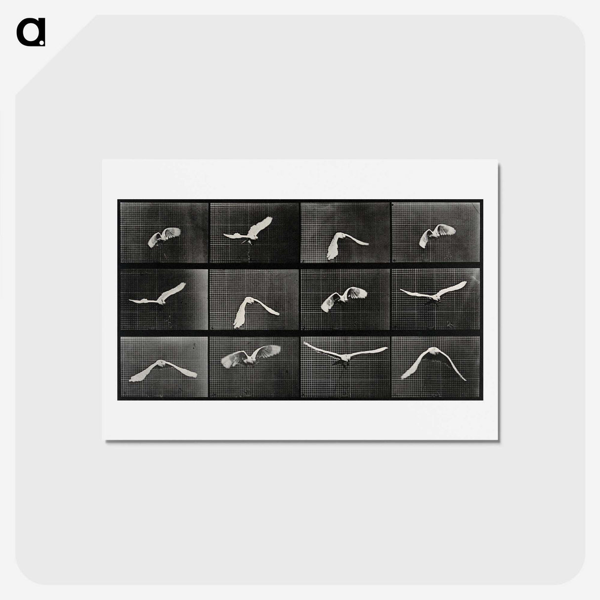 1-2_Eadweard-Muybridge_hagaki
