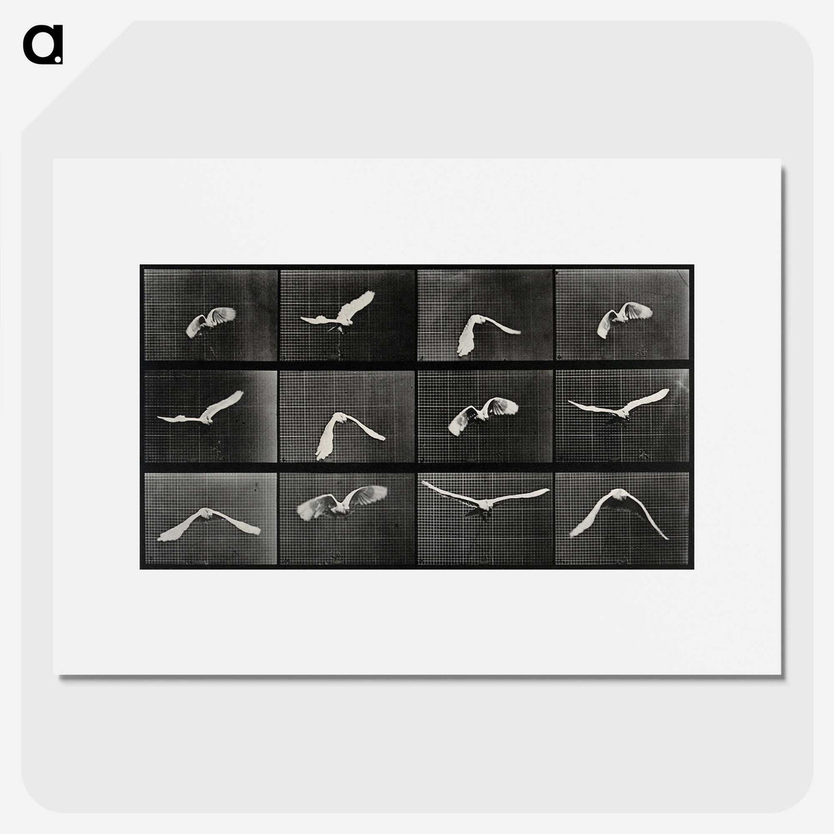1-2_Eadweard-Muybridge_picture