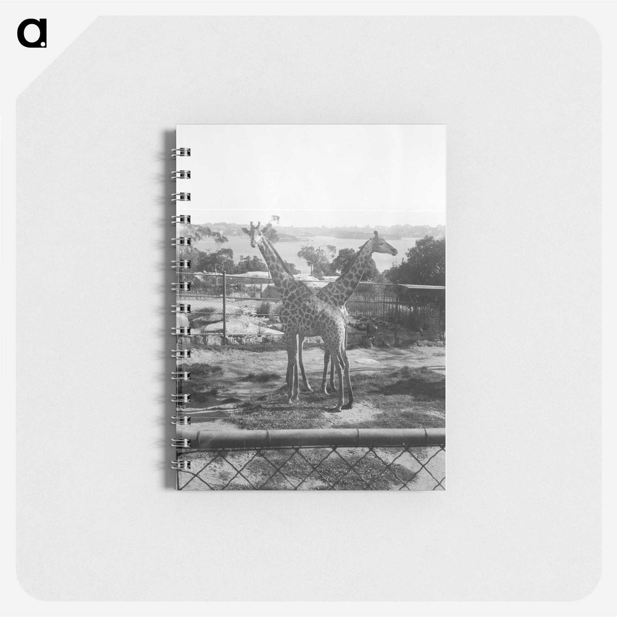 1-2_Eric-Lee-Johnson_memo
