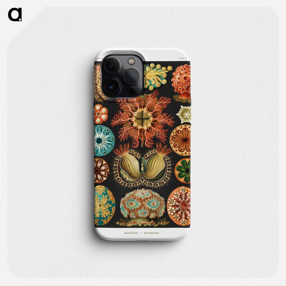Ascidiae–Seescheiden - エルンスト ヘッケル Phone Case.