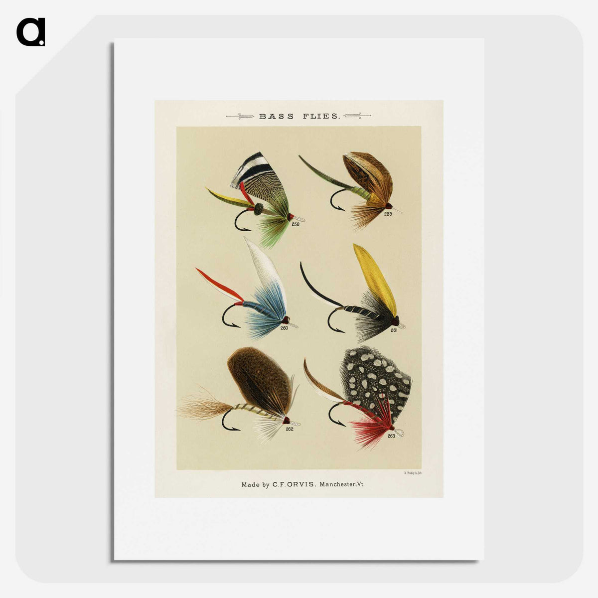 1-2_Favorite-Flies-and-Their-History_picture