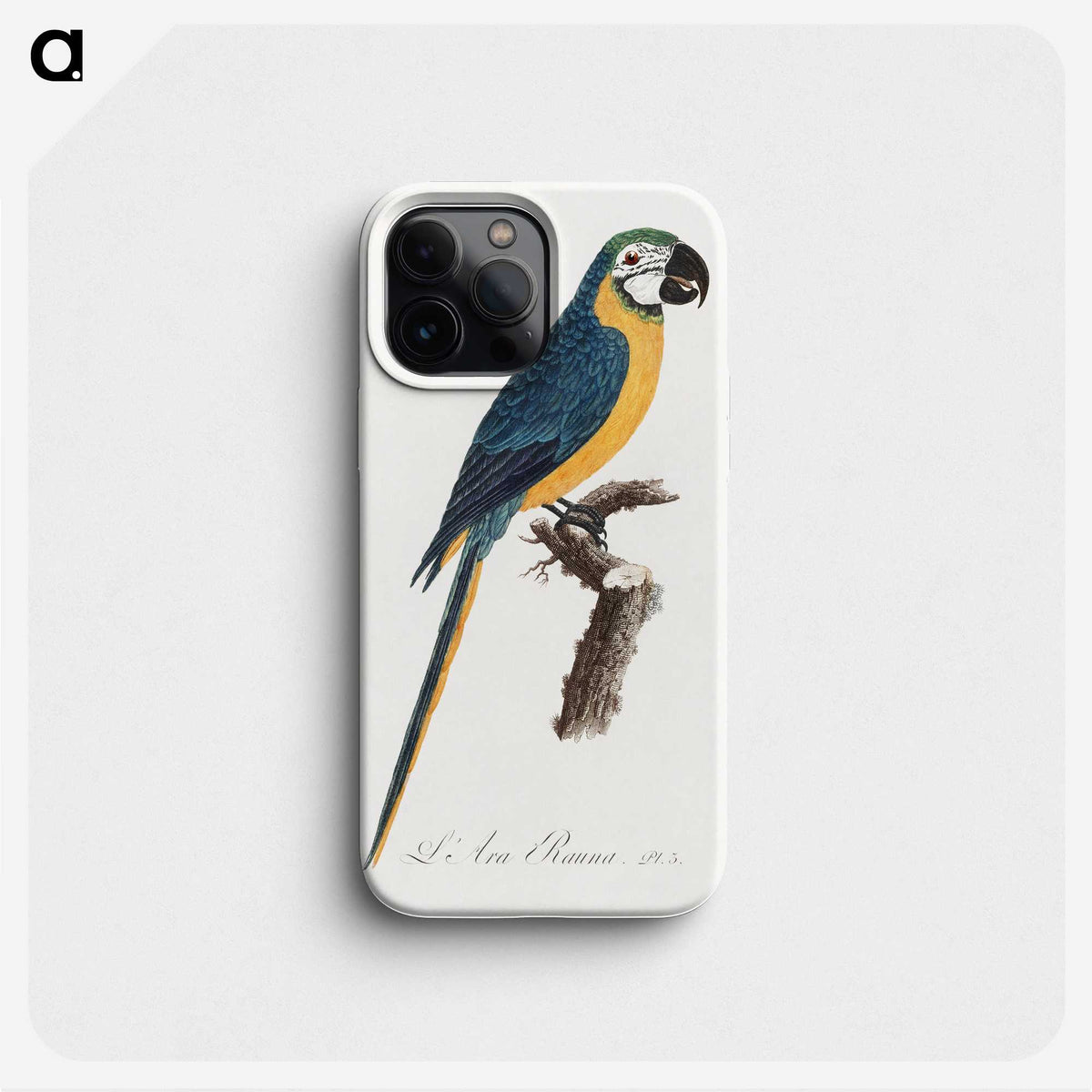 1-2_Francois-Levaillant_phone