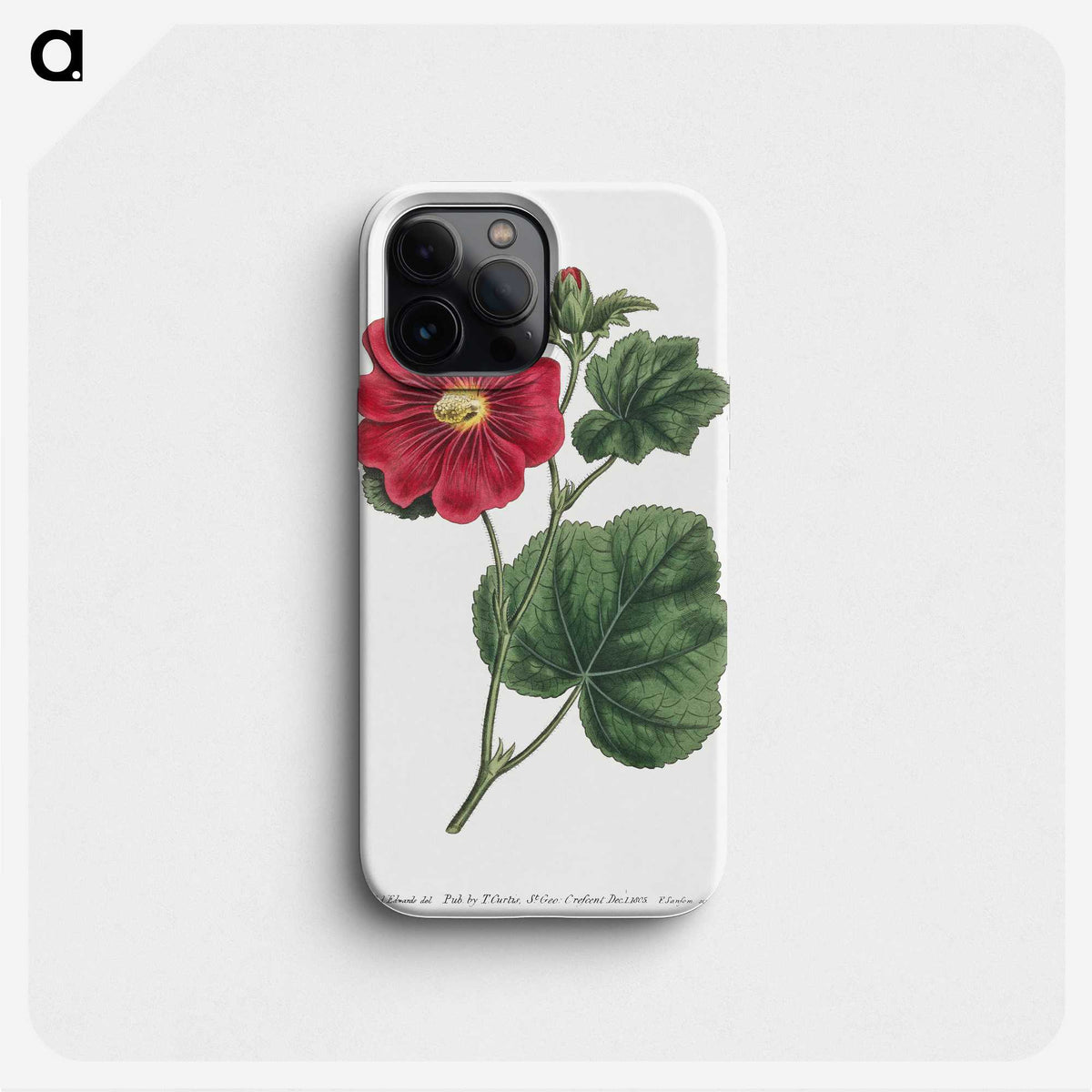 1-2_Fransis-Sansom_phone