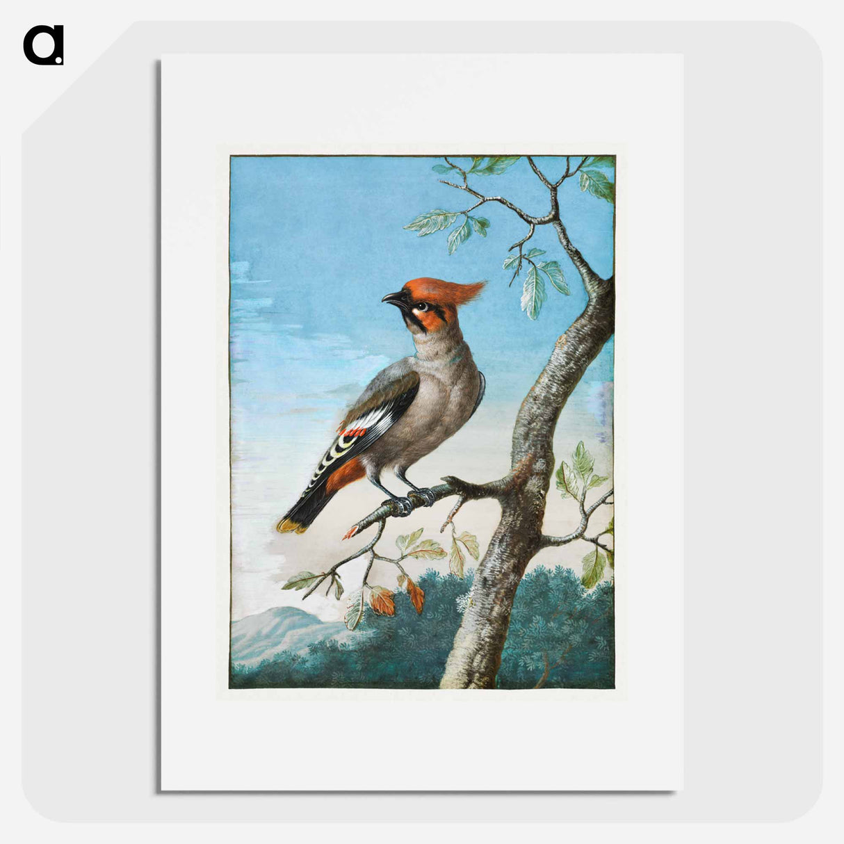 アートポスター-Bird Study
- ジョージ エドワーズ Poster.