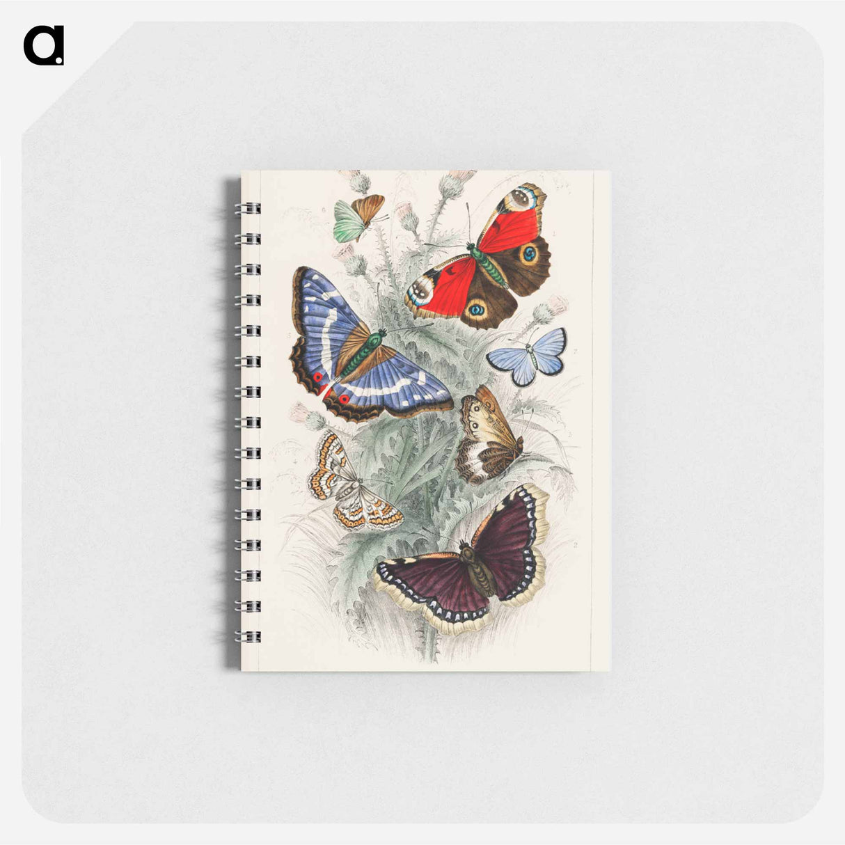 アートメモ帳-Butterfly Collection
- ゴールドスミスの生き生きとした自然 Memo.