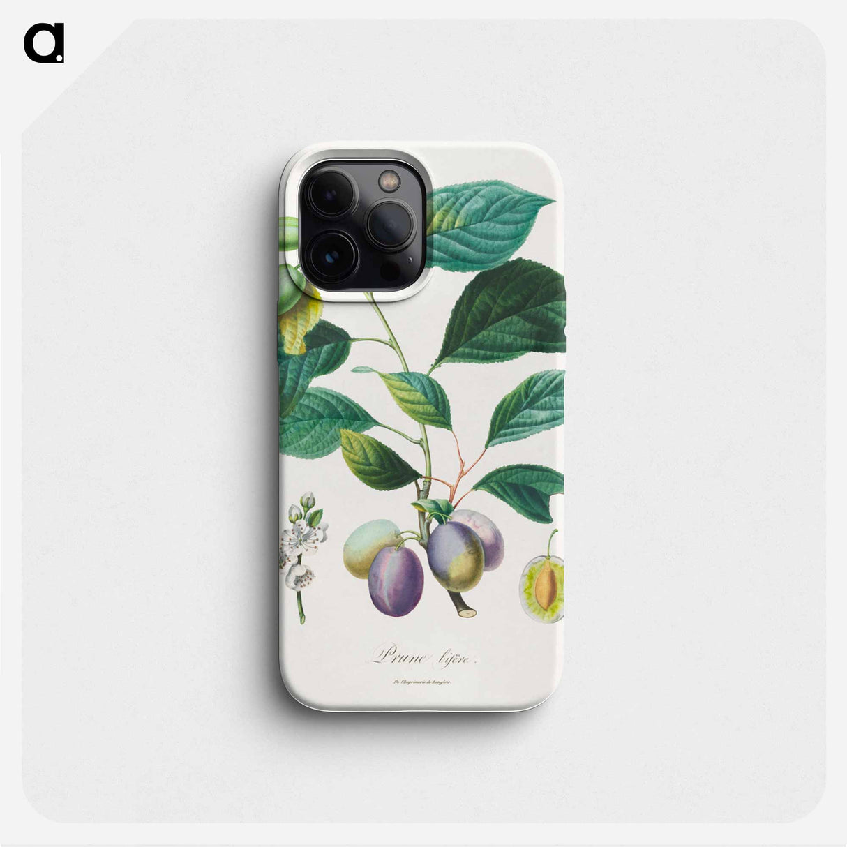 Traité des arbres fruitiers: Prune bifère - アンリ ルイ デュアメル デュ モンソー Phone Case.