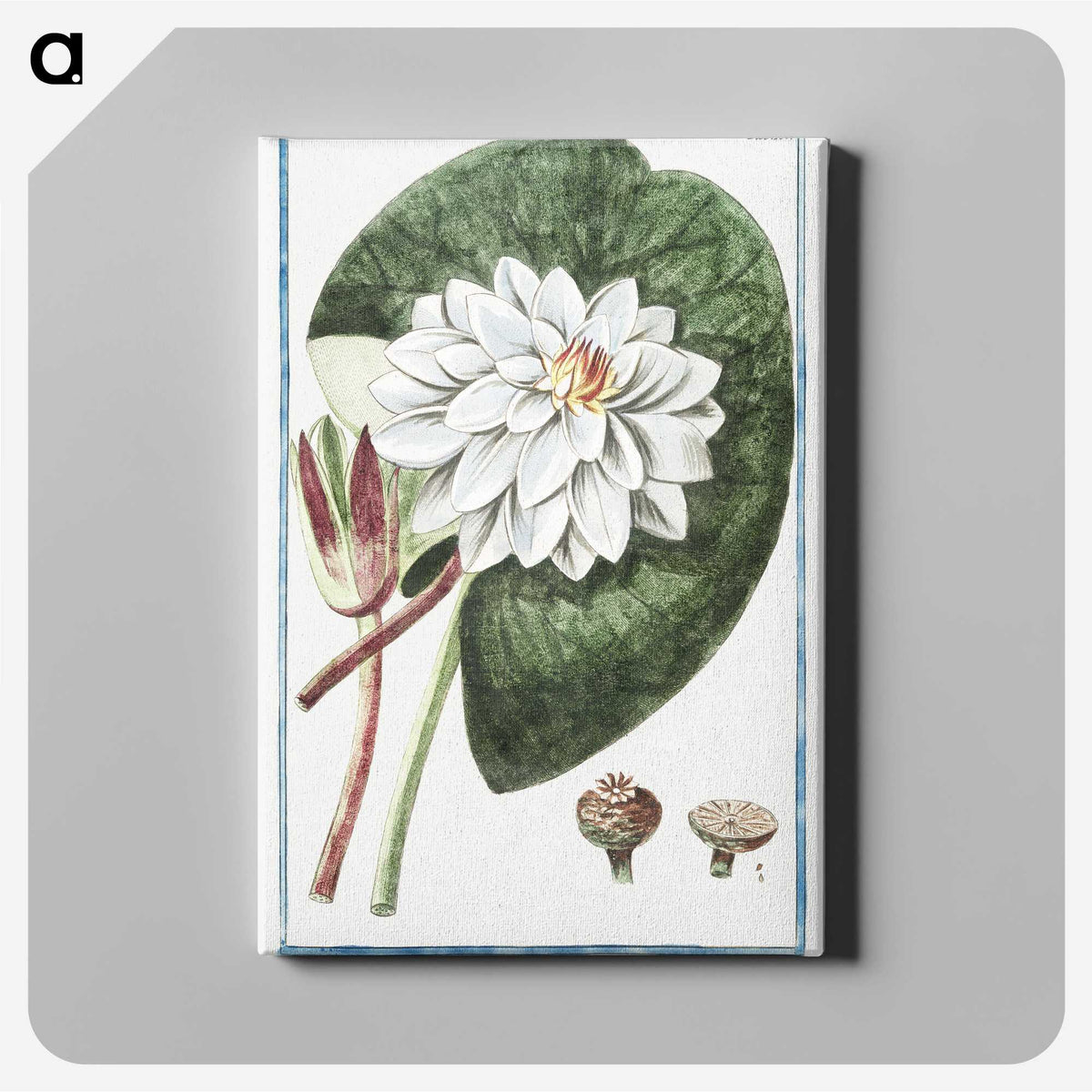 1-2_Hortus-Romanus-Botanical-Plates_canvas