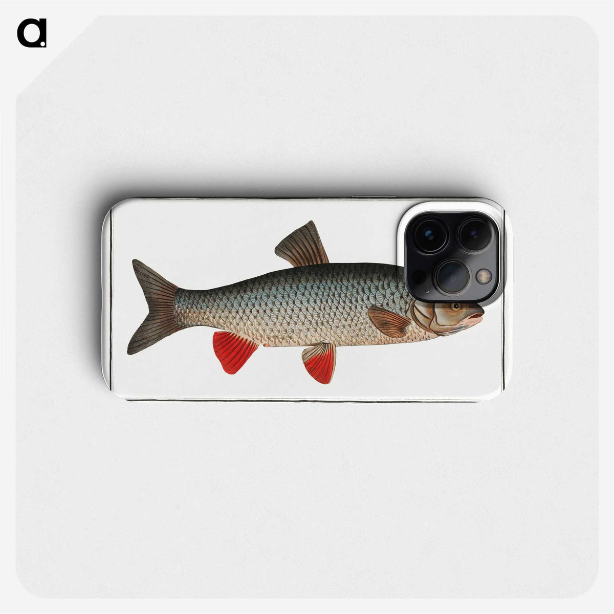 1-2_Ichtyologie-ou-Histoire-naturelle_phone