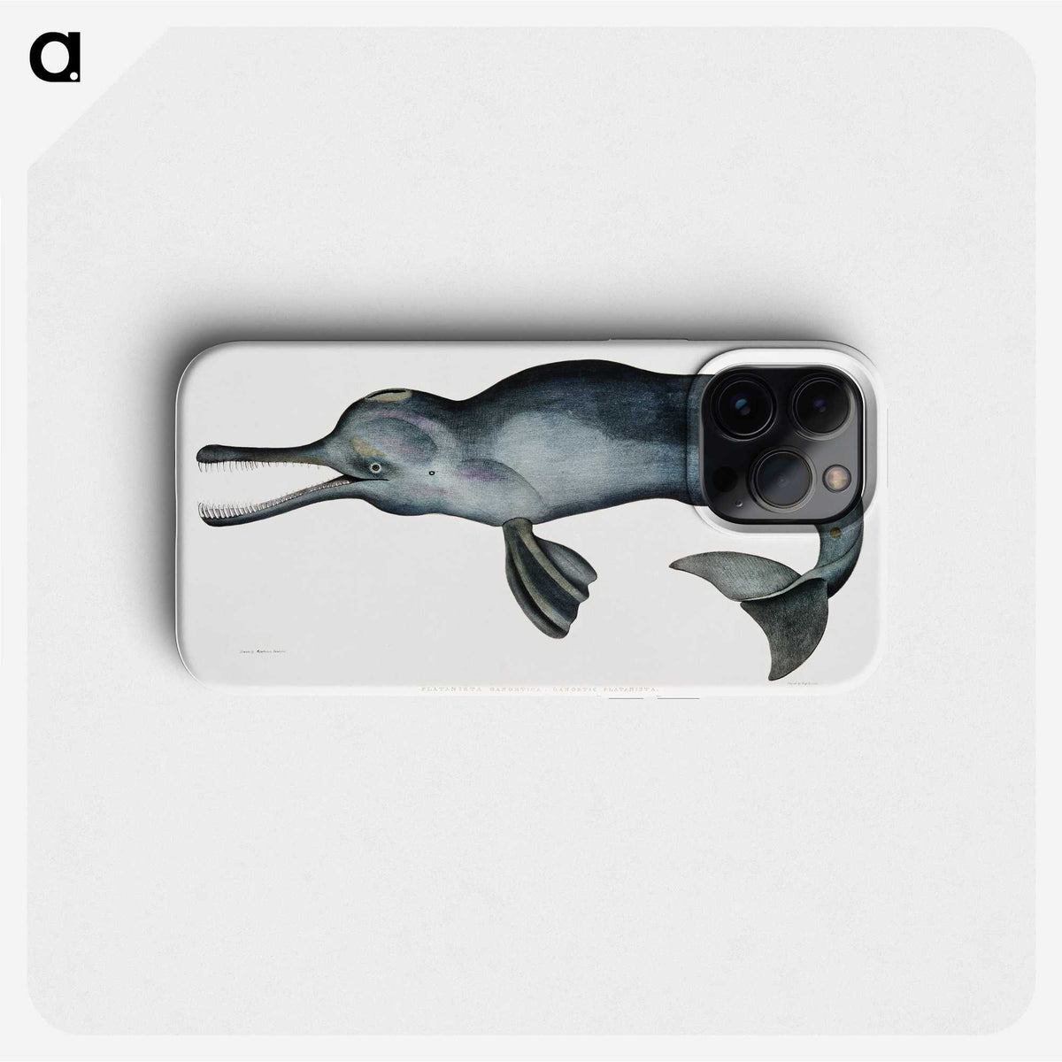 1-2_Indian-Zoology_phone