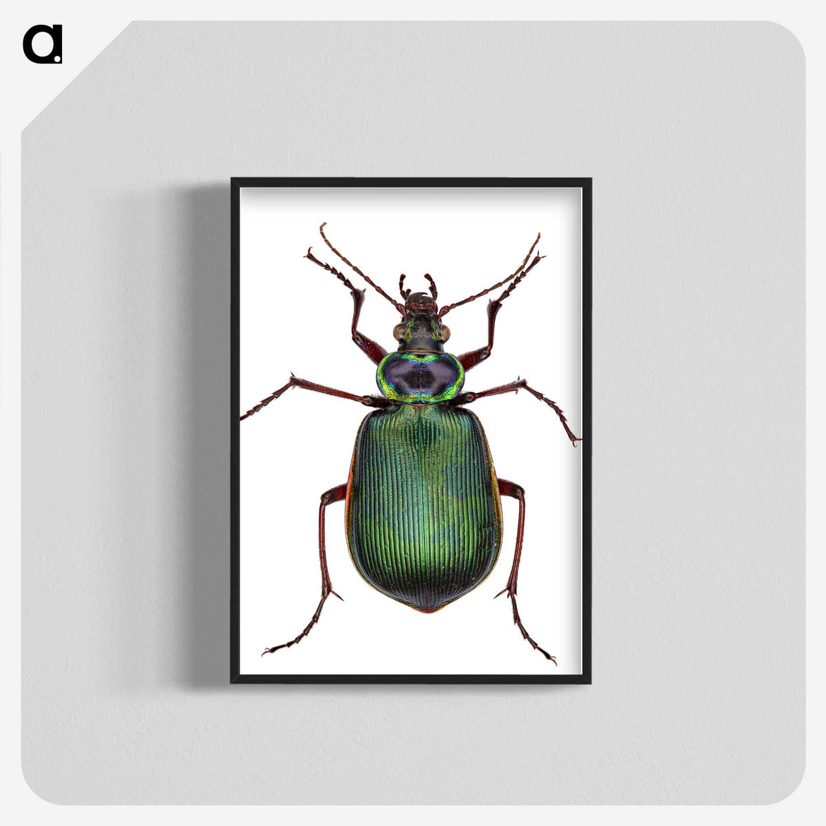 1-2_Insects-Unlocked-Project_blk-crop