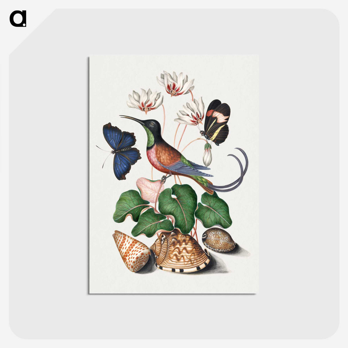 1-2_James-Bolton_postcard