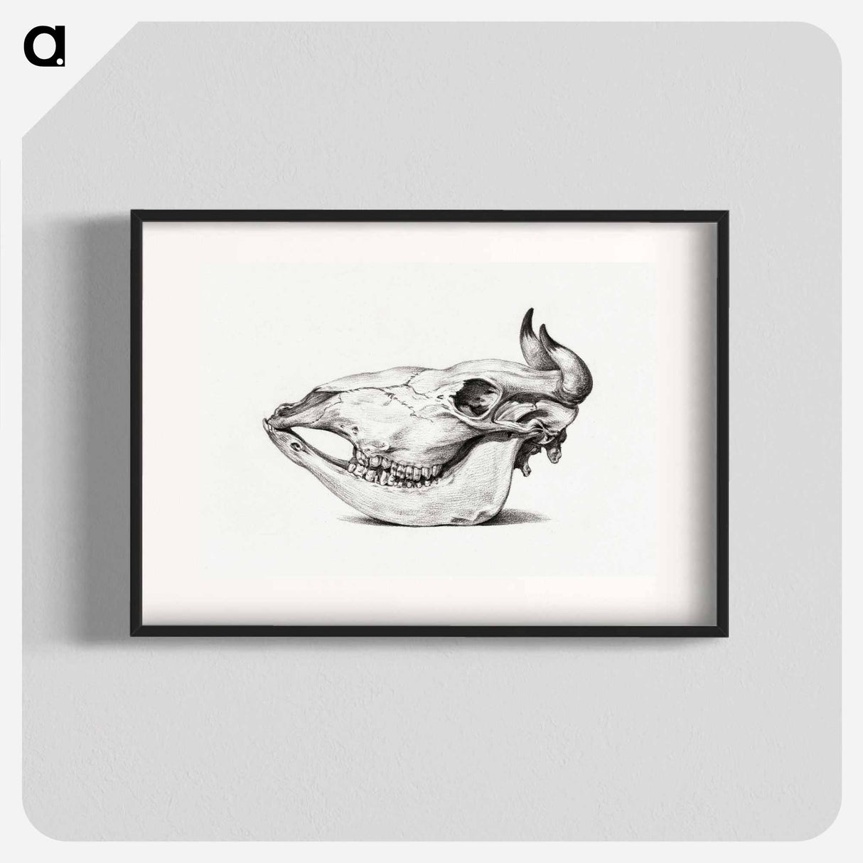 Skull of a cow - Jean Bernard Poster.