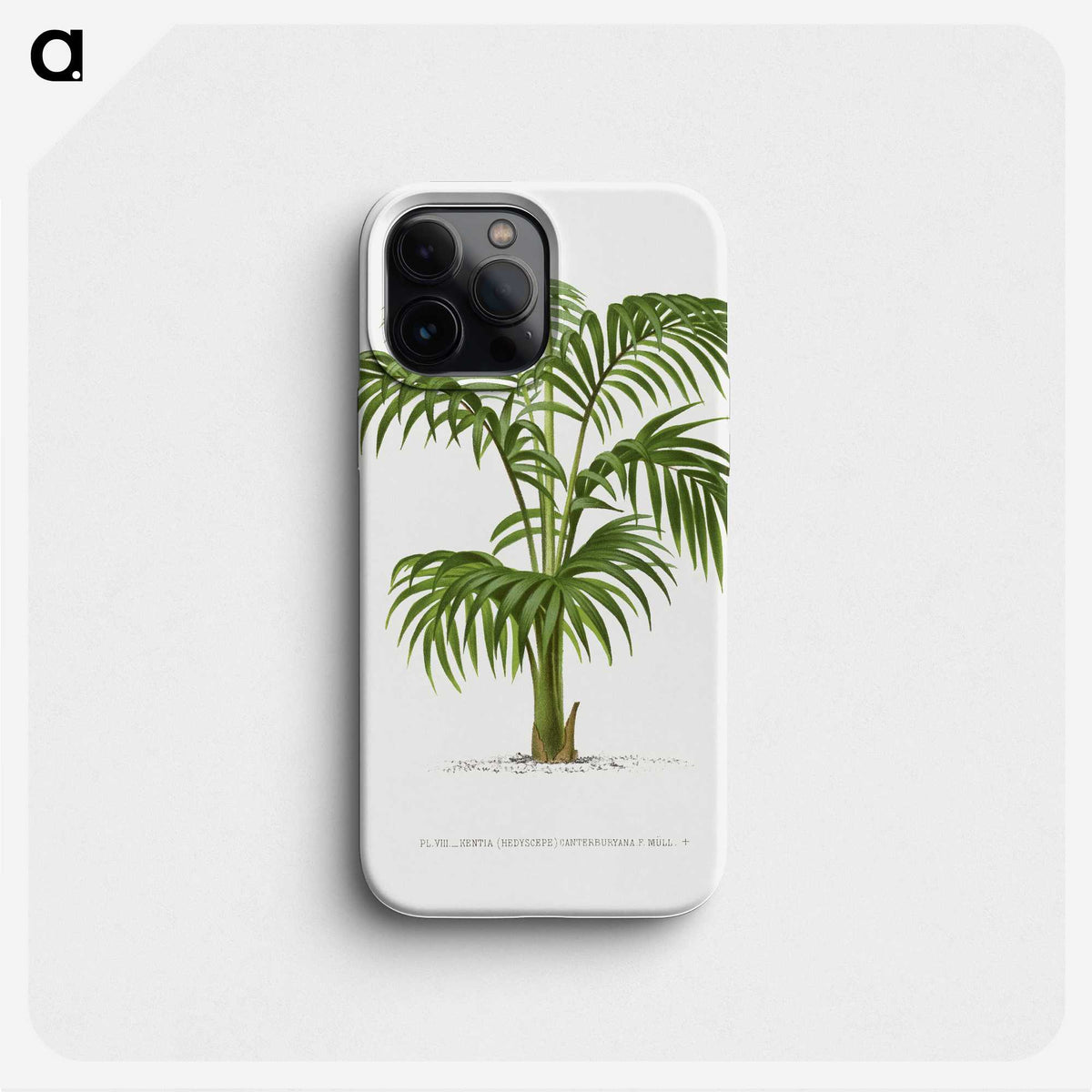 1-2_Les-Palmiers-Histoire-Iconographique_phone