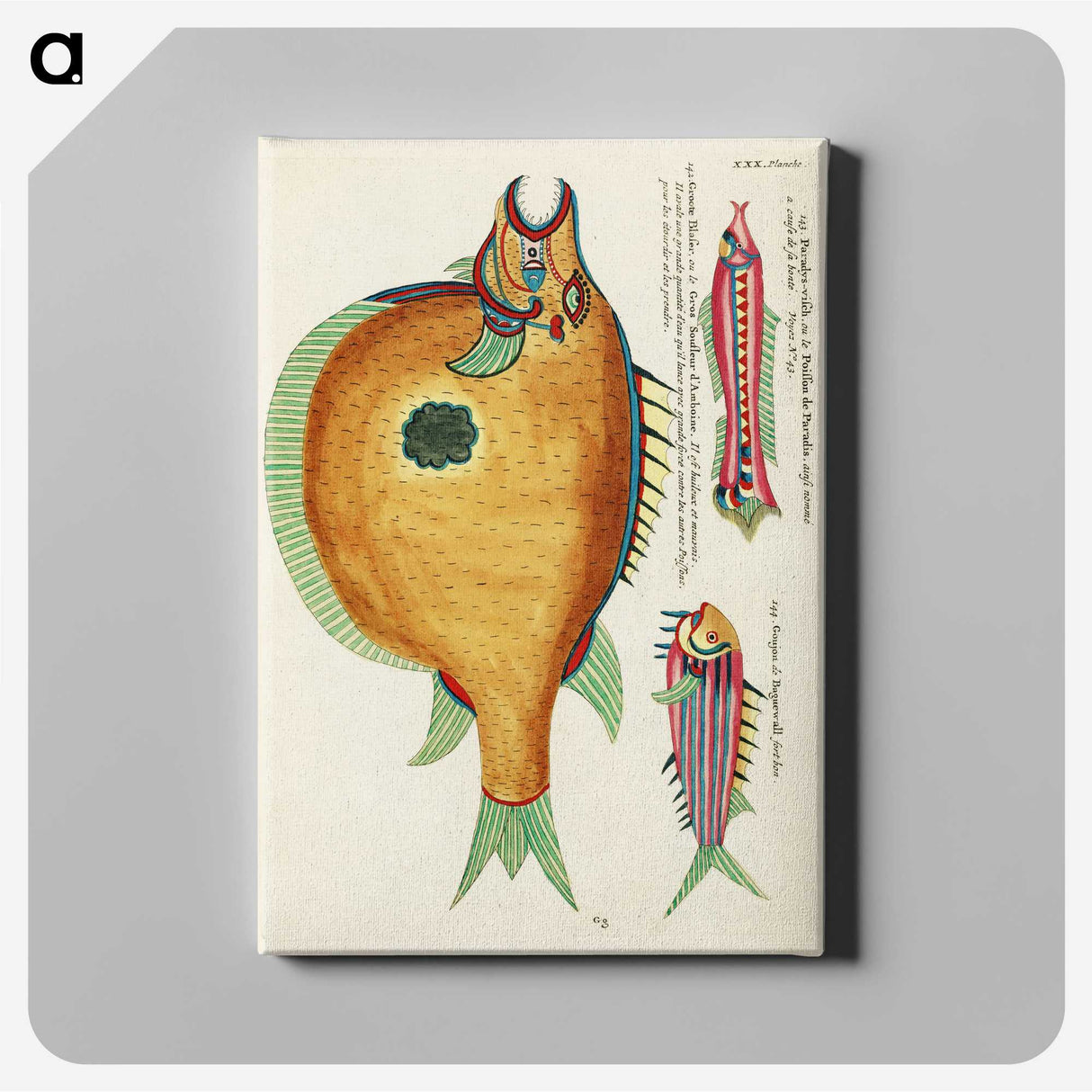 1-2_Louis-Renard_canvas