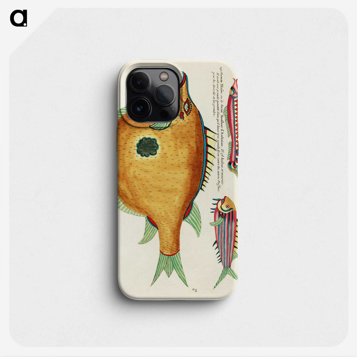 1-2_Louis-Renard_phone